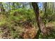 Scenic backyard creek with lush greenery and mature trees creating a serene natural setting at 6165 Lake Oak Lndg, Cumming, GA 30040