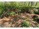 Picturesque stream flowing through wooded lot, creating a natural and peaceful landscape at 6165 Lake Oak Lndg, Cumming, GA 30040