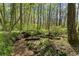 Scenic wooded lot featuring a tranquil creek winding through lush greenery and mature trees at 6165 Lake Oak Lndg, Cumming, GA 30040