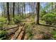 Private wooded lot featuring a charming creek near the property, enhancing the natural beauty at 6165 Lake Oak Lndg, Cumming, GA 30040