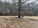 This backyard features a large tree with a suspended swing in a partially wooded area at 10390 Rivertown Rd, Chattahoochee Hills, GA 30213