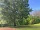Exterior view of the property's landscape, showcasing a large mature shade tree at 10390 Rivertown Rd, Fairburn, GA 30213