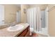 Bathroom with shower, vanity with granite countertop and mirror at 9246 W Banks Mill Rd, Winston, GA 30187