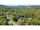 A scenic aerial view of a home nestled in lush greenery, providing a sense of privacy and tranquility at 11 York Trce, Cartersville, GA 30121