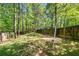 Spacious backyard with lush greenery, mature trees, and a wooden fence, perfect for outdoor activities at 515 Quinn Dr, Woodstock, GA 30188