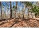 Beautiful wooded property featuring mature trees, promising privacy and a serene natural setting for a custom build at 305 Collegiate Dr, Powder Springs, GA 30127