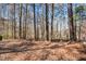 Beautiful wooded property featuring mature trees, promising privacy and a serene natural setting for a custom build at 305 Collegiate Dr, Powder Springs, GA 30127