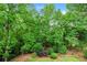 Lush backyard with mature trees and meticulously maintained landscaping at 370 Fairleaf Ct, Alpharetta, GA 30022