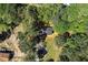 Birds eye view of the property showing mature trees and access to the driveway at 4739 Cook Sw Rd, Stockbridge, GA 30281