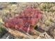 Overhead view of a home and approximate property lines surrounded by mature trees in a tranquil setting at 101 Hardwood Ln, Canton, GA 30115