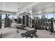 Modern gym featuring weight machines, a mirrored wall and large windows offering beautiful outdoor scenery at 3630 Peachtree Ne Rd # 3302, Atlanta, GA 30326