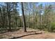 A wooded backyard with mature trees providing privacy at 2112 Starfire Ne Dr, Atlanta, GA 30345