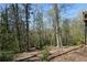 A wooded backyard with mature trees providing privacy at 2112 Starfire Ne Dr, Atlanta, GA 30345