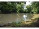 Backyard pond surrounded by lush trees and greenery at 200 Stone Lake Dr, Dallas, GA 30157