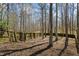 Large, fenced backyard bordered with mature trees, providing privacy and a natural setting at 381 Gainesborough Dr, Dallas, GA 30157