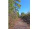 Scenic wooded walking path with tall pines and natural ground cover at 2694 Mourning Dove Drive (Lot 35), Grayson, GA 30017