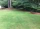 Green backyard featuring landscaped areas at 1316 Milstead Ave, Conyers, GA 30012