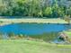 Picturesque pond surrounded by a lush green lawn, reflecting a clear blue sky, creating a serene landscape at 441 Pumpkinvine Rd, Acworth, GA 30101