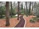 Landscaped backyard path through mature trees. Features wood mulch and lush ground cover at 3776 Powers Ferry Nw Rd, Atlanta, GA 30342