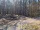 Large yard with a storage shed nestled among mature trees at 5685 Mccoy Nw Rd, Acworth, GA 30101