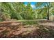 Beautiful backyard featuring shade trees and lush greenery for a serene outdoor setting at 9180 Shiloh Dr, Villa Rica, GA 30180