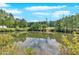 Scenic pond with lush greenery, offering a peaceful and serene view at 9180 Shiloh Dr, Villa Rica, GA 30180