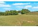 Expansive grassy yard with distant view of house, providing ample space and a serene environment at 9180 Shiloh Dr, Villa Rica, GA 30180