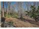 Side yard features a tranquil wooded area, with towering trees and natural ground cover at 2870 Carla Nw Dr, Kennesaw, GA 30144