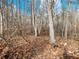 Overgrown wooded area with a forest floor covered in fallen leaves and bare trees at 2536 Kachina Trl, Dacula, GA 30019