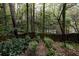 Backyard view of foliage and trees at 3117 Kings Arms Ne Ct, Atlanta, GA 30345