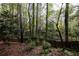 View of the wooded backyard, enclosed by a rustic wooden fence at 3117 Kings Arms Ne Ct, Atlanta, GA 30345