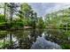 Picturesque pond surrounded by lush greenery and mature trees at 3117 Kings Arms Ne Ct, Atlanta, GA 30345