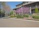 Beautiful brick townhomes with balconies, lush landscaping, and a mature flowering tree at 91 Webb St, Roswell, GA 30075