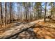 Long paved driveway leading to the home, surrounded by tall trees at 166 Muse Rd, Fayetteville, GA 30214