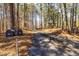 A view of the driveway with mailboxes, showcasing a secluded, wooded setting at 166 Muse Rd, Fayetteville, GA 30214