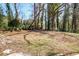 Large backyard with mature trees offering shade and privacy at 1256 Elizabeth Sw Ave, Atlanta, GA 30310