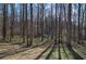 View of the wooded backyard from the ground, with trees creating light and shadows at 63 Colette Ct, Douglasville, GA 30134