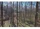 View of lush wooded backyard with a stream meandering through the trees and vegetation at 63 Colette Ct, Douglasville, GA 30134