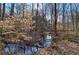 Serene stream runs through the wooded backyard, adding a touch of nature to the property at 63 Colette Ct, Douglasville, GA 30134