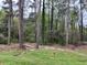 Wooded backyard with mature trees at 3095 Rainbow Dr, Decatur, GA 30034