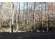 Picture of backyard with mature trees that offer shade and privacy at 2335 Corbett Ct, Powder Springs, GA 30127