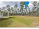 Expansive backyard featuring newly installed sod and mature trees providing shade and privacy at 215 Pinewood Dr, Covington, GA 30014