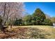 A beautiful front yard featuring a mature flowering tree and spring flowers at 8005 Sweet Creek Rd, Johns Creek, GA 30097