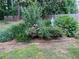 Beautiful backyard featuring lush greenery, mature trees, and a charming garden arrangement at 5221 La Paloma Sw Dr, Lilburn, GA 30047