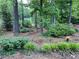 Lush landscape showcasing beautiful trees, bushes, and plantings, creating a serene outdoor space at 5221 La Paloma Sw Dr, Lilburn, GA 30047