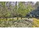 Lush backyard featuring beautiful ornamental grasses and a variety of trees, creating a serene landscape at 3555 Kingsboro Ne Rd, Atlanta, GA 30319