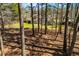 Wooded backyard features lush lawn, mature trees, and a wood privacy fence at 314 Meadow Spring Dr, Temple, GA 30179