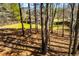 Secluded backyard with lush grass, mature trees, and a wood privacy fence at 314 Meadow Spring Dr, Temple, GA 30179