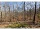 Backyard has grass and an expansive woodland area behind it for added privacy at 5060 Governors Walk Dr, Canton, GA 30115