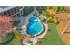 Aerial view of a backyard with a freeform pool, stone patio, and lush green lawn at 2260 Wood Falls Dr, Cumming, GA 30041